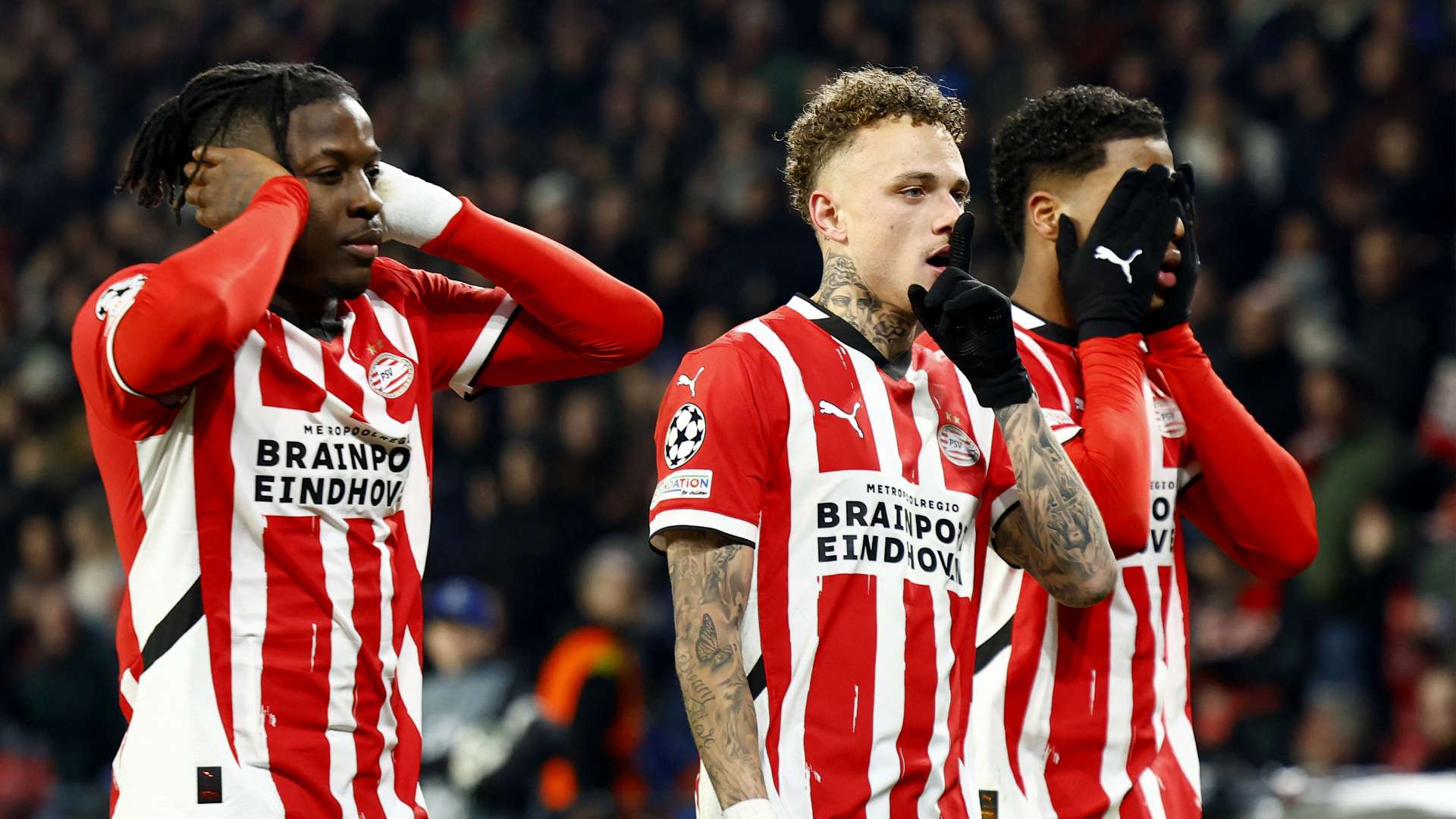 不仅提升了 不仅提升了