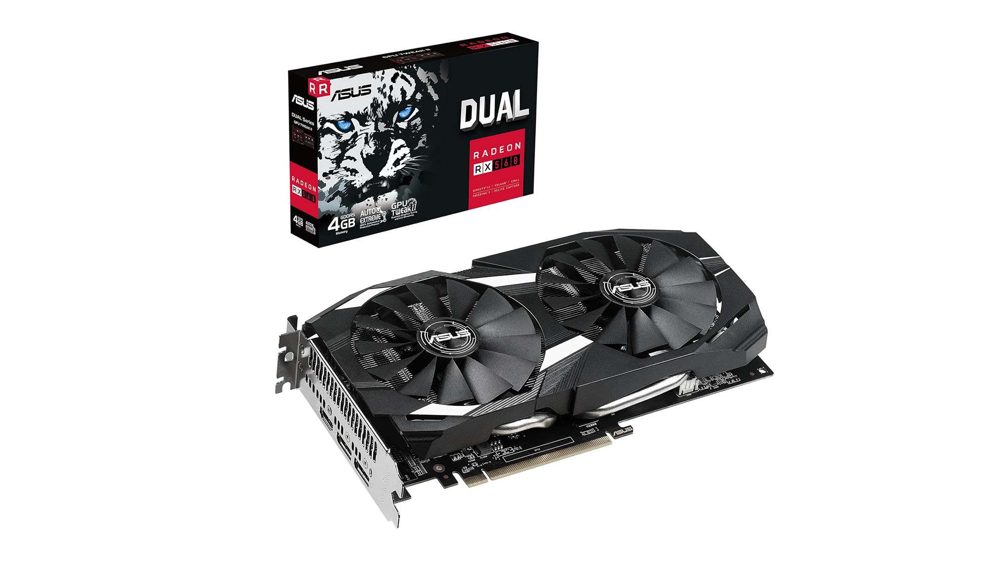 努力和热爱 努力和热爱