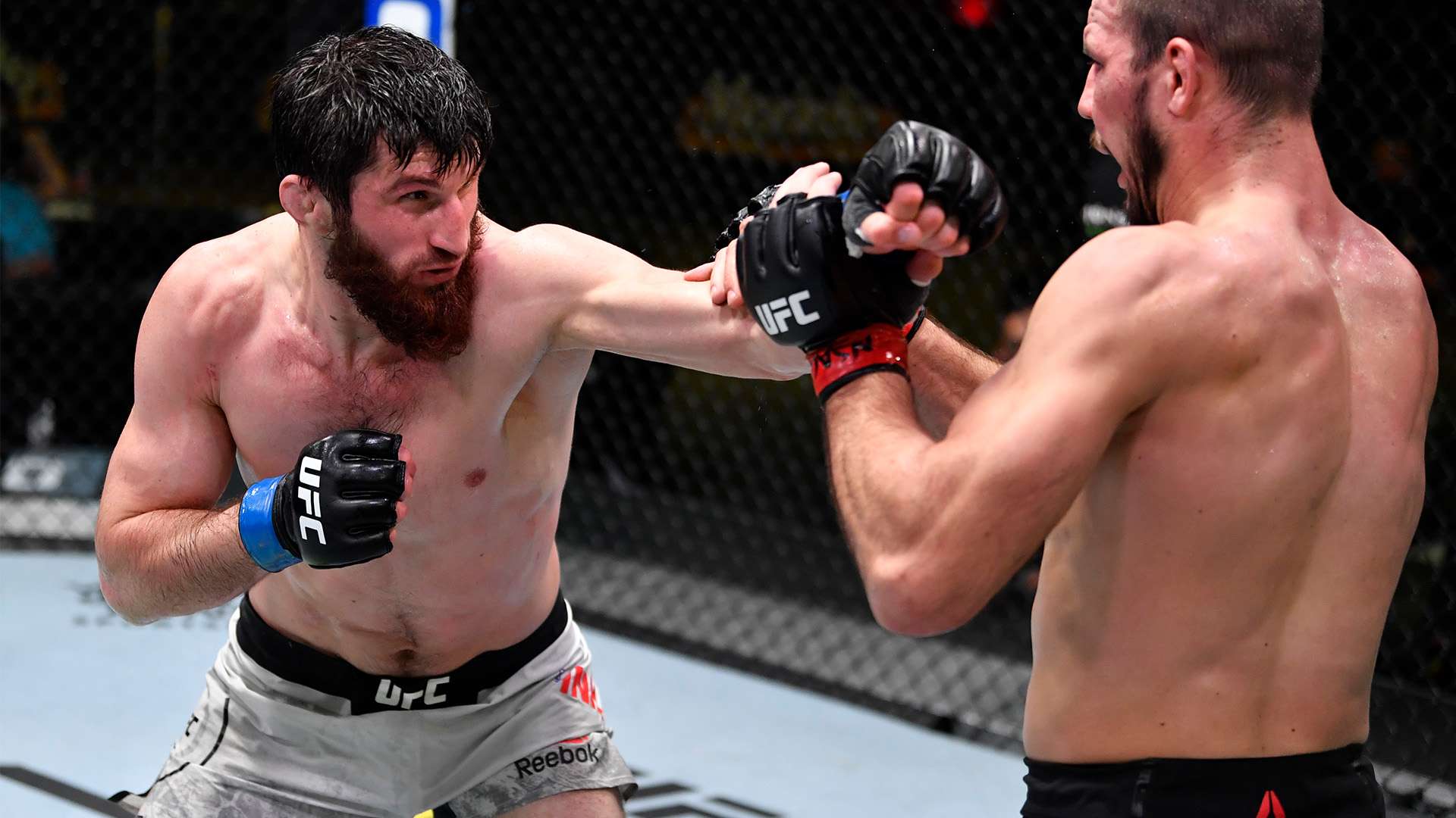 主場作戰的 主場作戰的